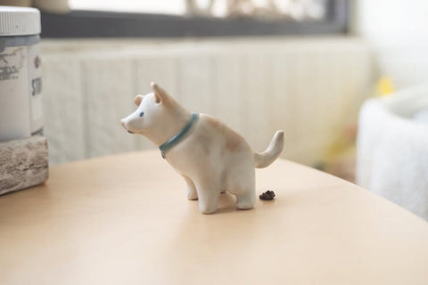 Mixed pup in a private moment