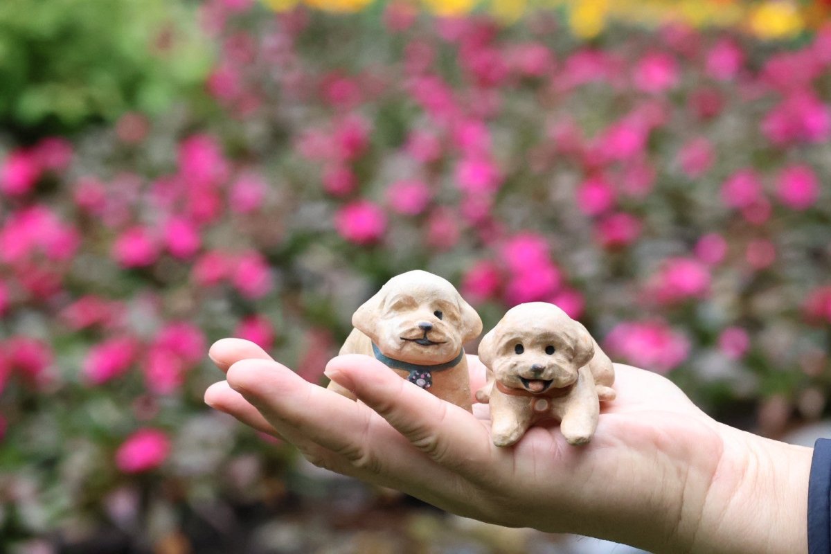 Poodle with collar - Pawttery