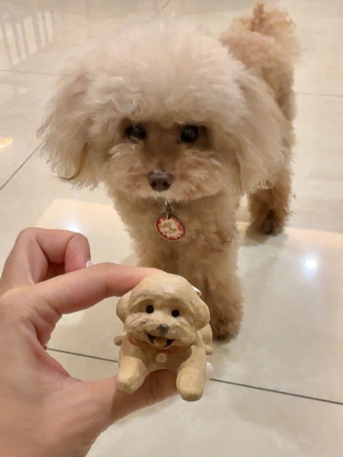Poodle with her mini me