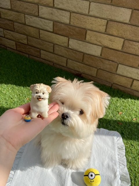 Small dog next to a hand holding a toy dog figure on grass with a brick wall background