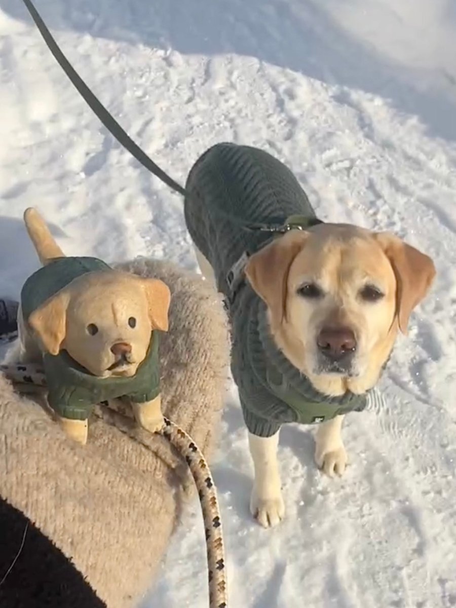 A yellow Labrador Retriever wearing a dark green cable-knit sweater standing in the snow next to its identical custom-made ceramic dog figurine by Pawttery, showcasing a perfectly matched personalized pet gift