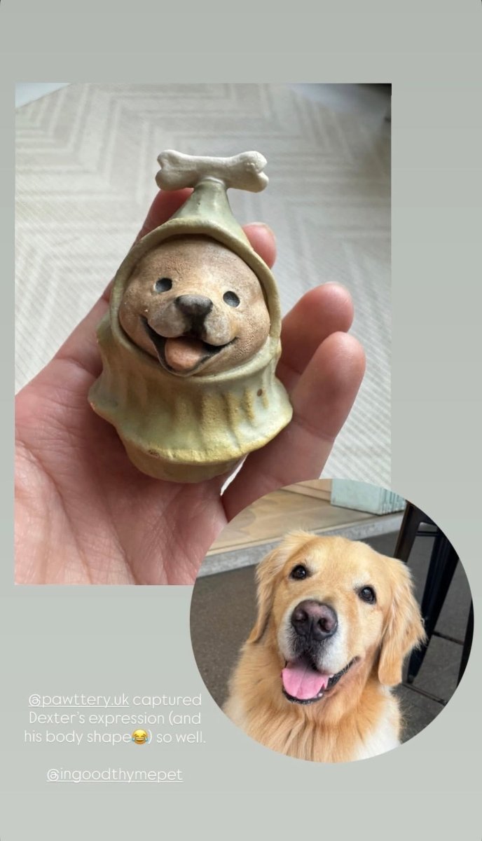 Xmas Cosplay Roly Poly - Pawttery