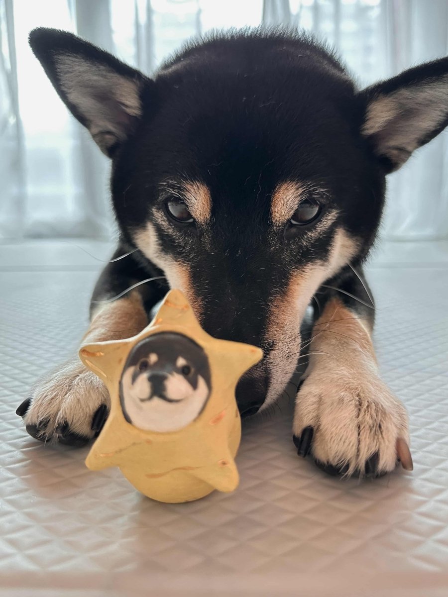 Xmas Cosplay Roly Poly - Pawttery