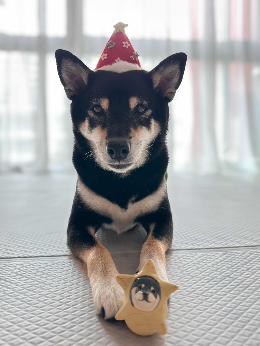 Xmas Cosplay Roly Poly - Pawttery