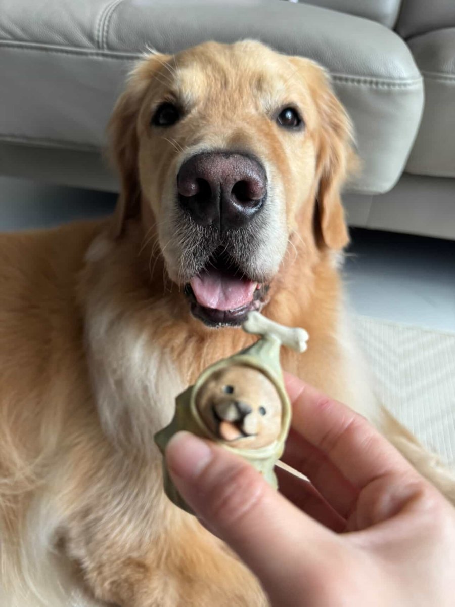 Xmas Cosplay Roly Poly - Pawttery